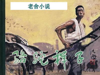 小红帽live官网最新版本更新内容